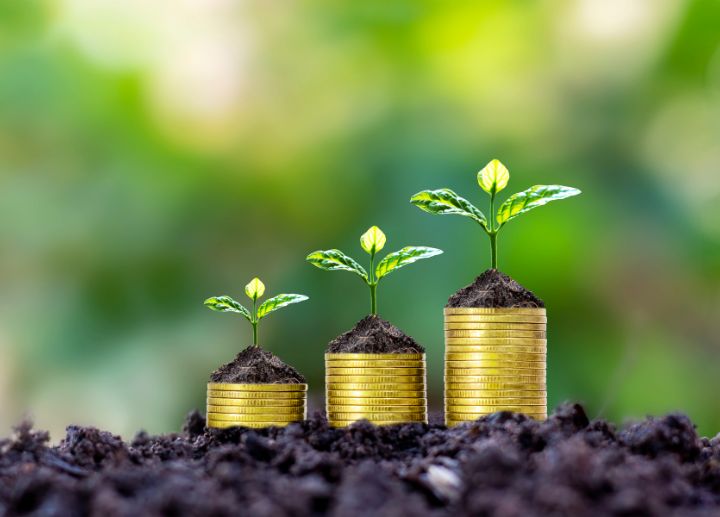 Stacks of gold coins in soil with small green plants growing on top.